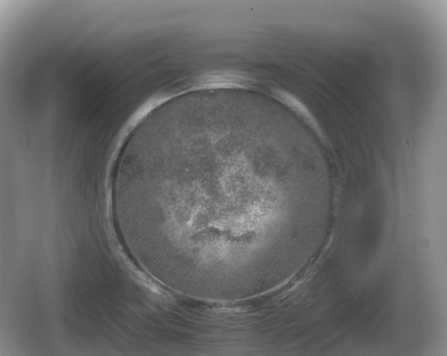 X0000067481419200604101217