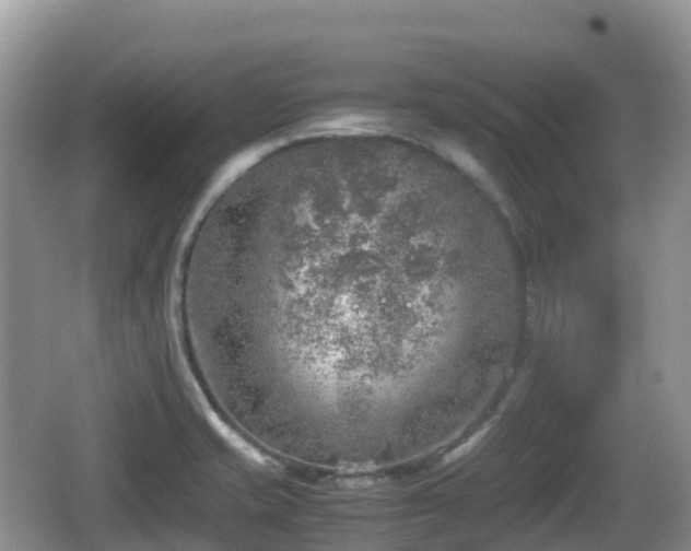 X0000067481421200604101217