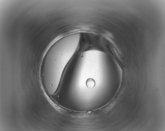 X0000067481426200604101217