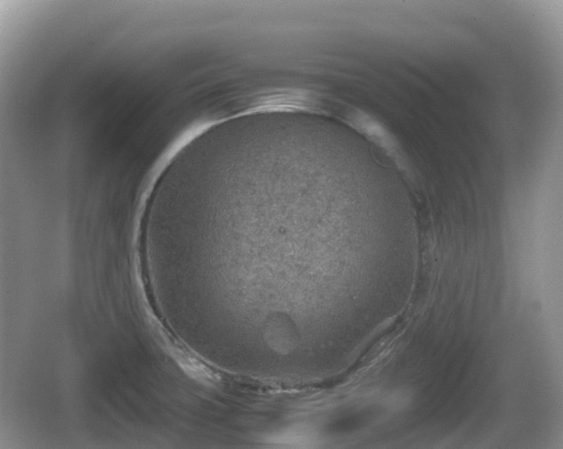 X0000067481427200604101217