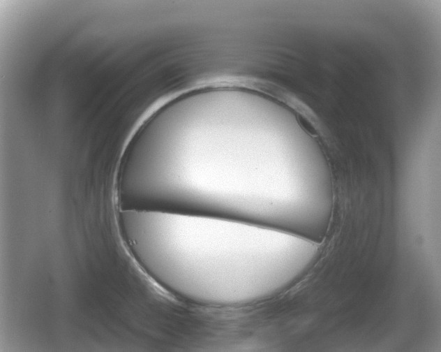 X0000067481428200604101218