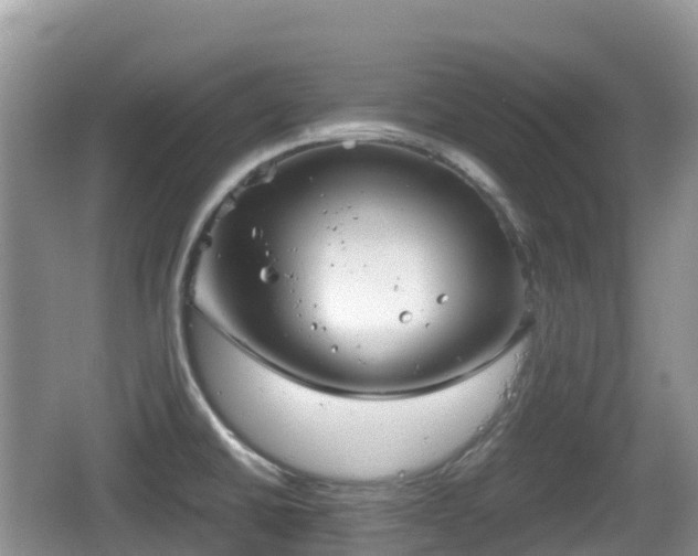 X0000067481430200604101218