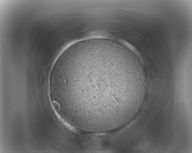 X0000067481431200604101218