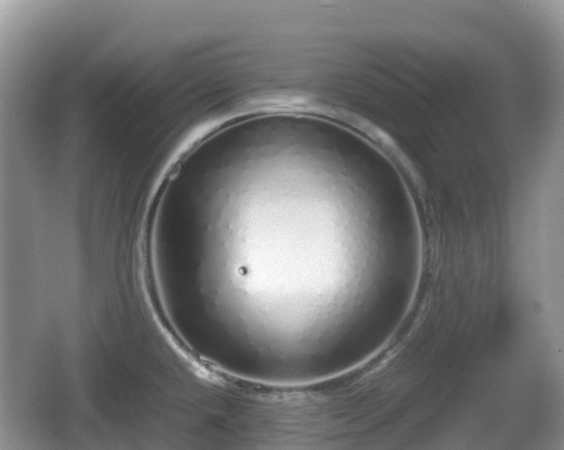 X0000067481432200604101218