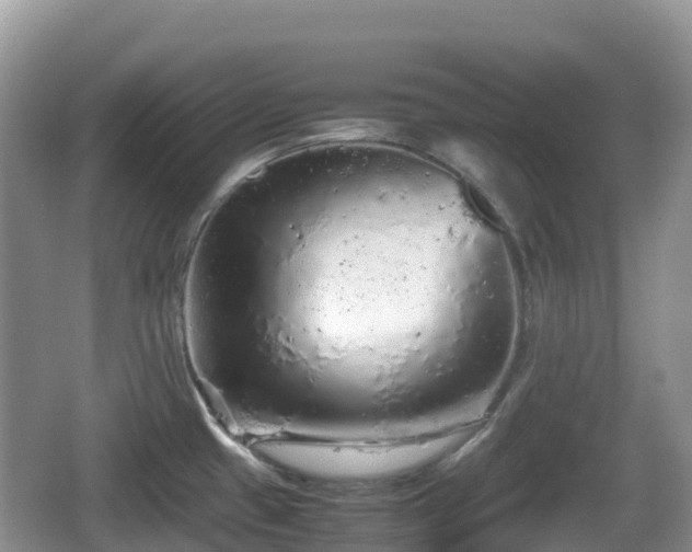 X0000067481433200604101218