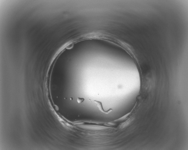 X0000067481434200604101218