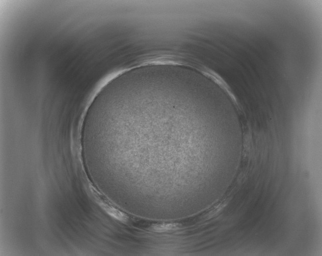 X0000067481435200604101218