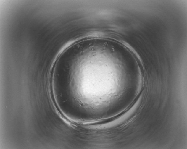 X0000067481437200604101218