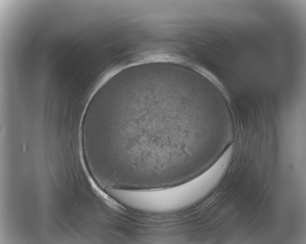 X0000067481439200604101218