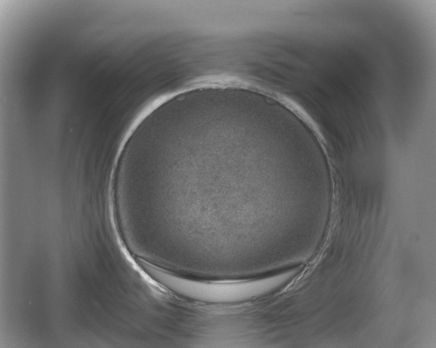 X0000067481440200604101218