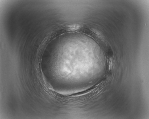 X0000067481441200604101217