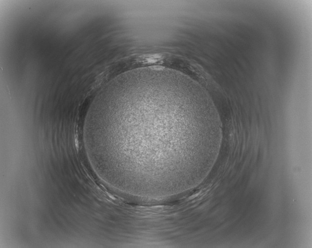 X0000067481442200604101217