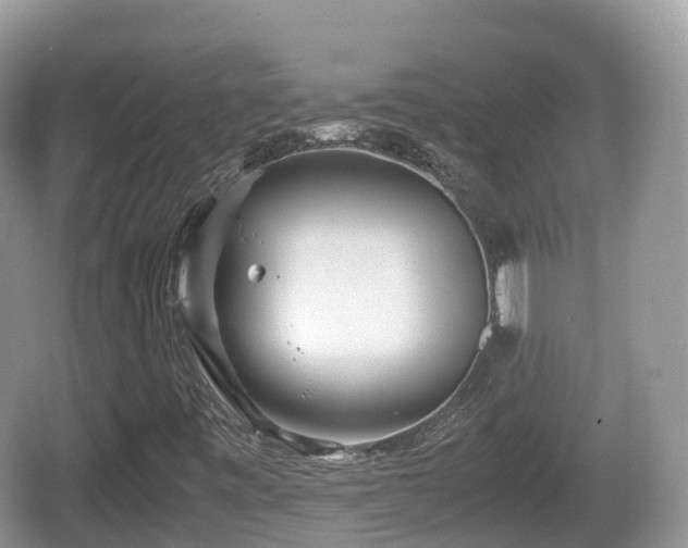 X0000067481443200604101217