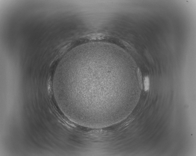 X0000067481444200604101217