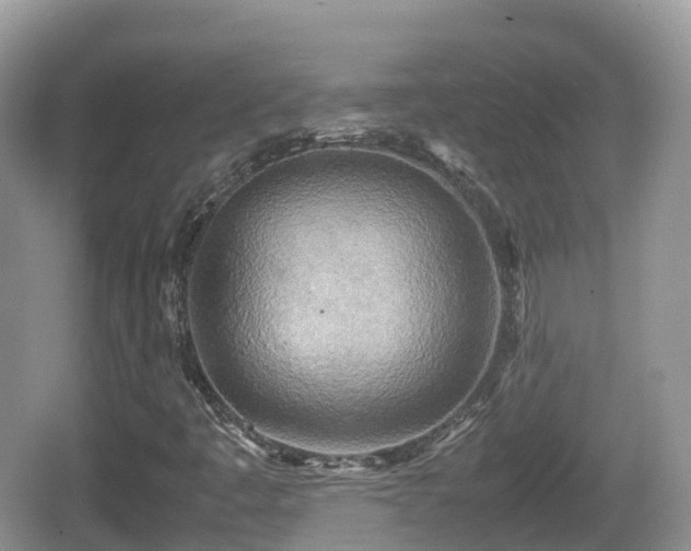 X0000067481445200604101217