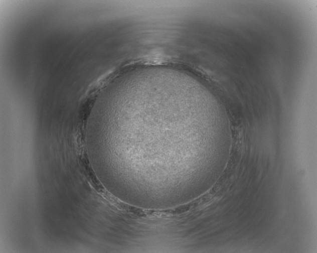 X0000067481446200604101217