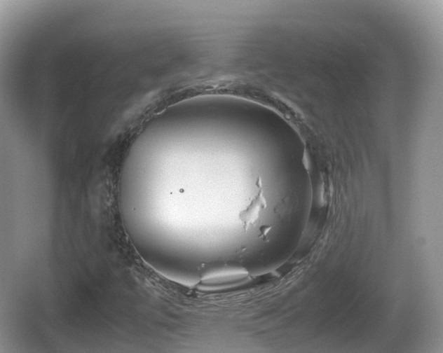 X0000067481447200604101217