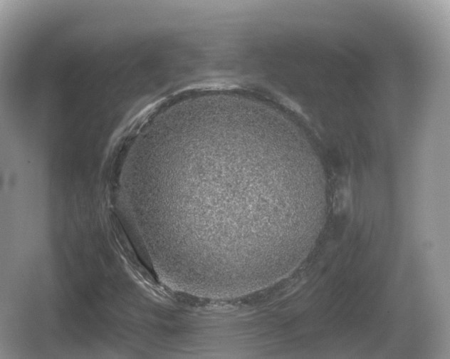 X0000067481448200604101217