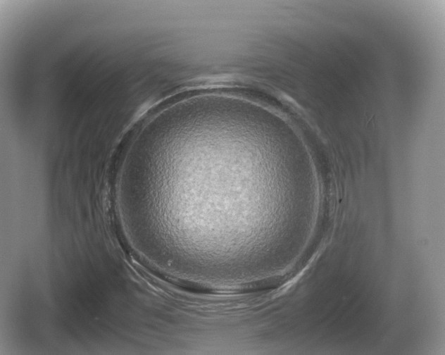 X0000067481449200604101217