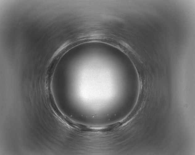 X0000067481450200604101217