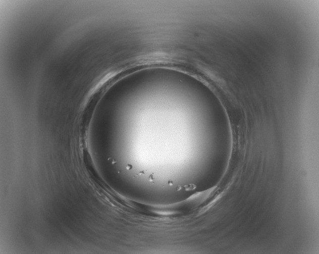 X0000067481453200604101217