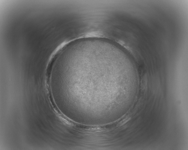 X0000067481454200604101217