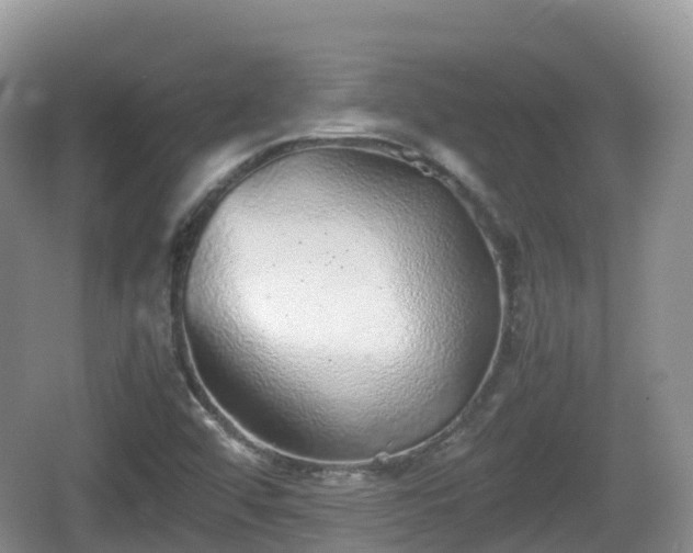 X0000067481456200604101217