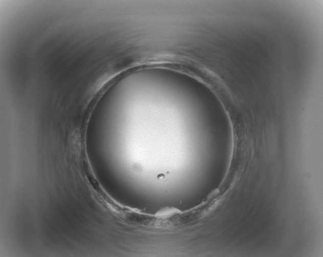 X0000067481457200604101217