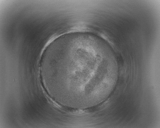 X0000067481459200604101217