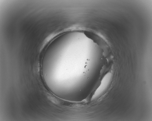 X0000067481461200604101217