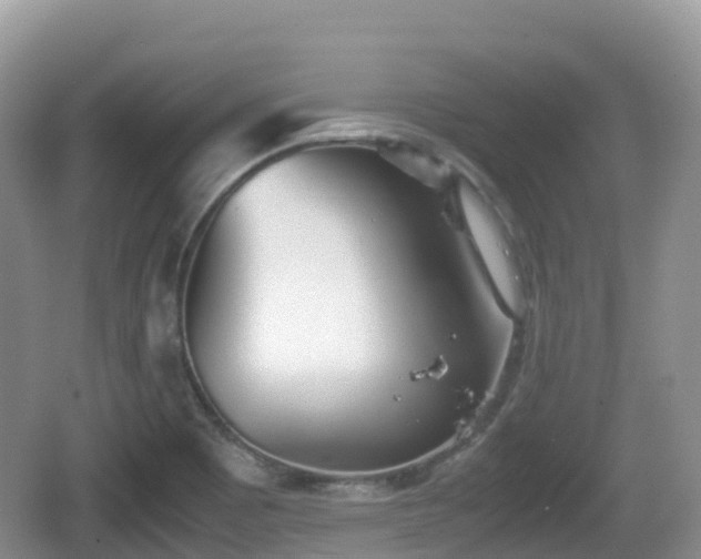 X0000067481465200604101217