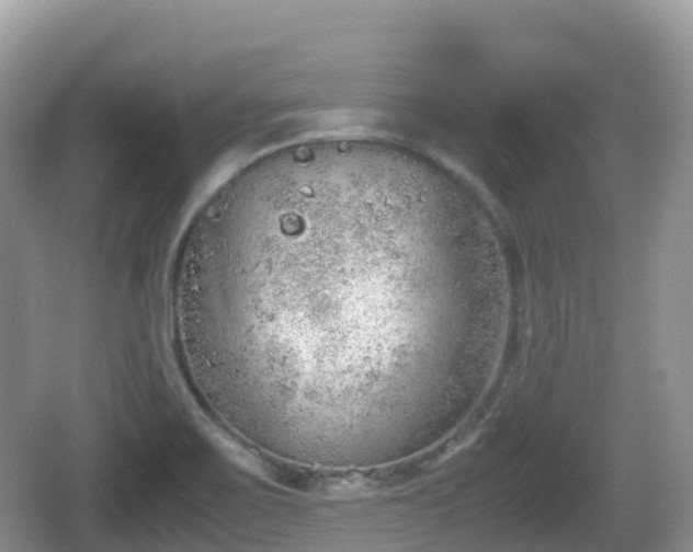 X0000067481467200604101216