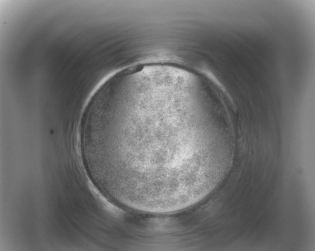 X0000067481468200604101216