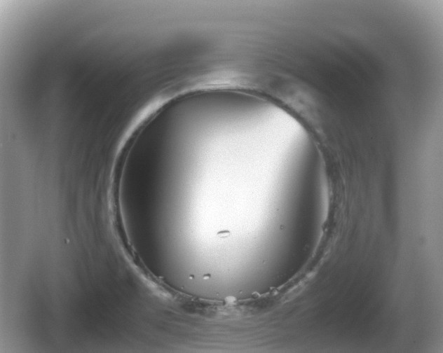 X0000067481469200604101216