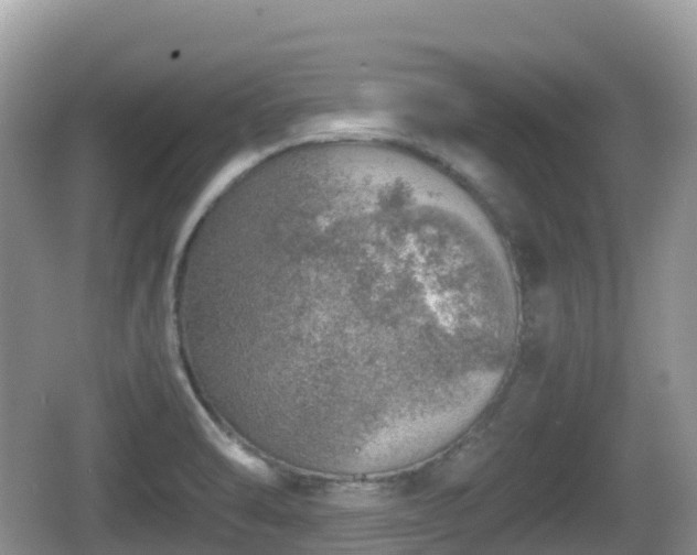 X0000067481470200604101216