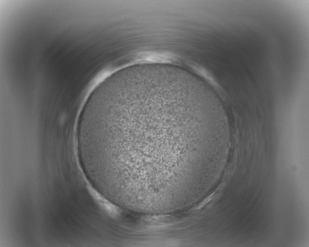 X0000067481471200604101216