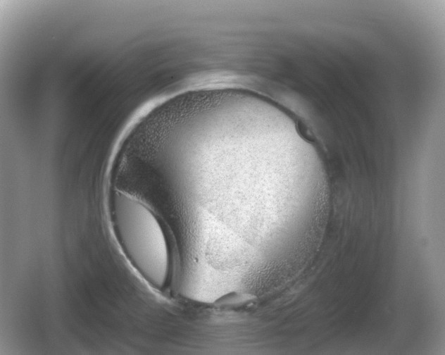 X0000067481472200604101216