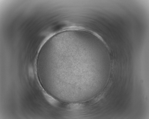 X0000067481474200604101216