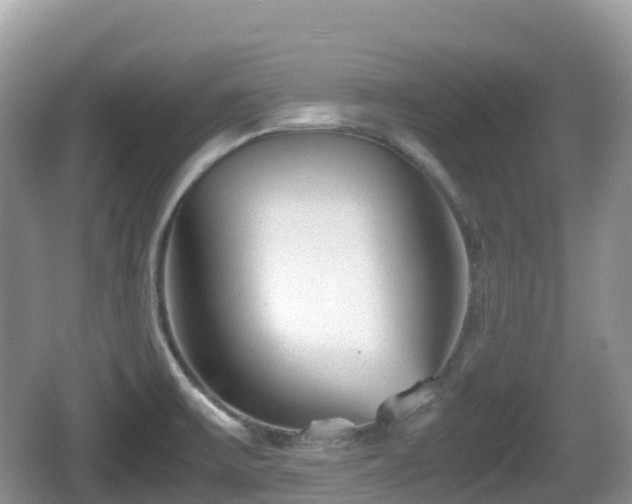 X0000067481475200604101216