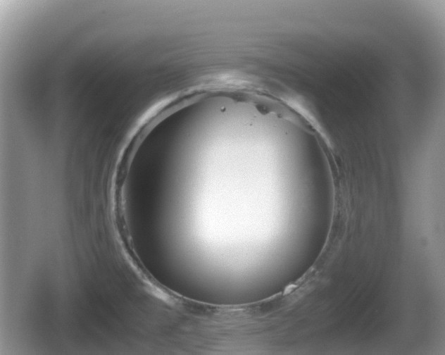 X0000067481477200604101216