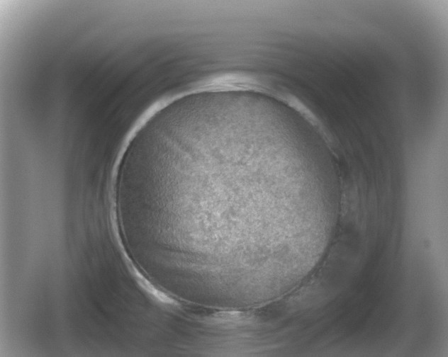 X0000067481478200604101216