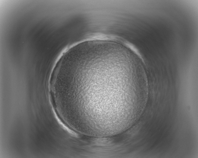 X0000067481479200604101216