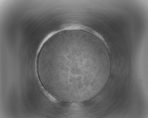 X0000067481480200604101216