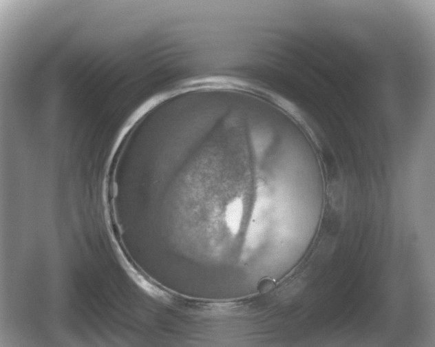 X0000067481482200604101216