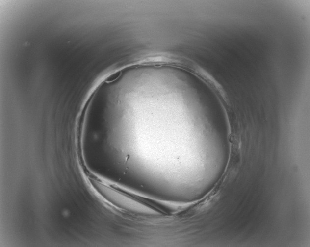 X0000067481483200604101216