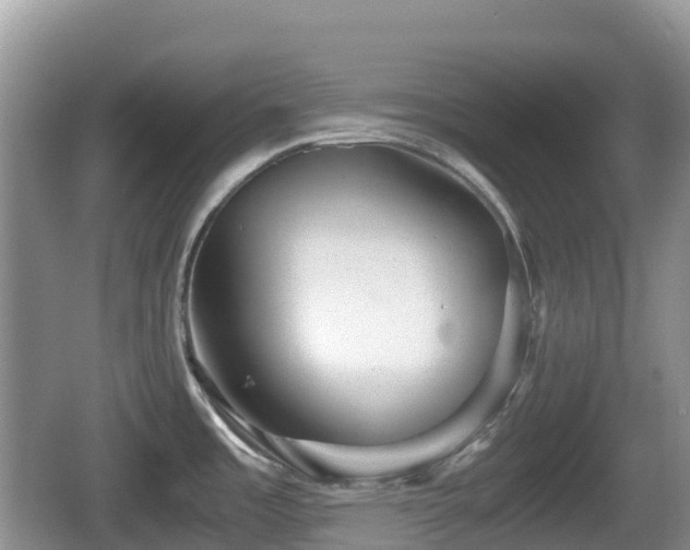 X0000067481485200604101216