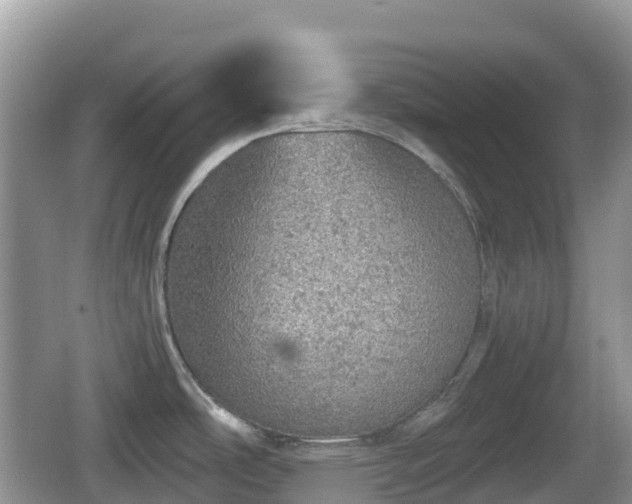 X0000067481486200604101216