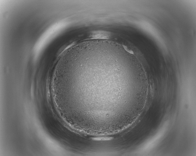 X0000067481487200604101216