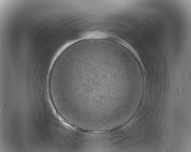 X0000067481488200604101216