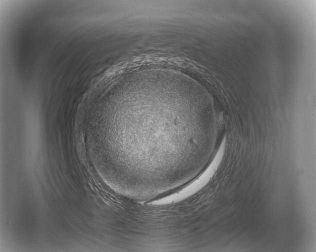 X0000067481489200604101215